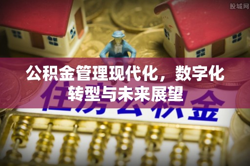 青羊公积金管理现代化，数字化转型与未来展望