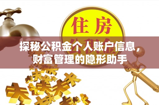 青羊探秘公积金个人账户信息，财富管理的隐形助手
