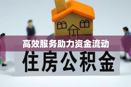 青羊高效服务助力资金流动